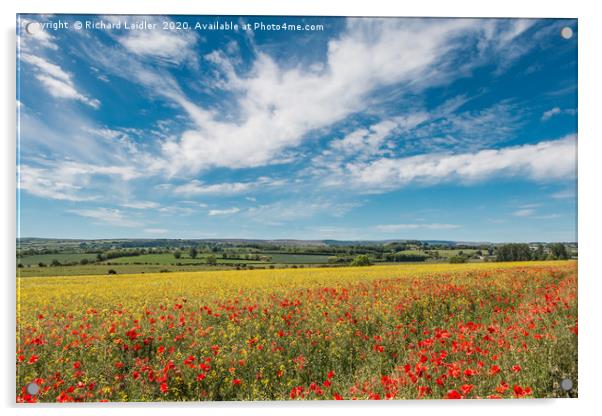 Poppies, Rape and a Big Sky Acrylic by Richard Laidler