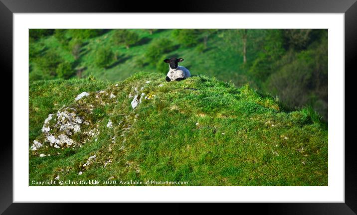 A young resident of Wetton Hill                    Framed Mounted Print by Chris Drabble