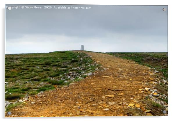 Pendle Hill summit Acrylic by Diana Mower