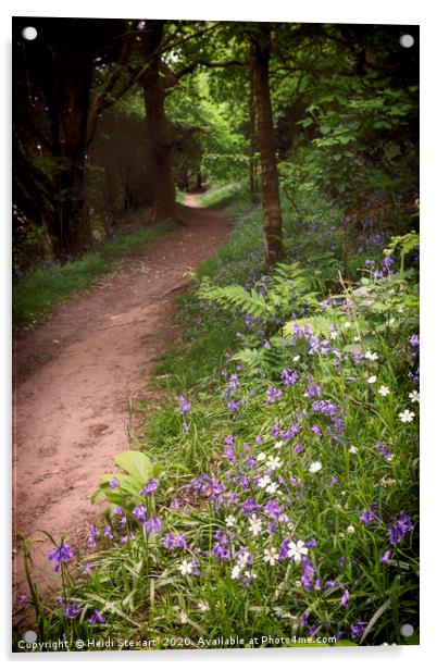 Woodland Walk Acrylic by Heidi Stewart