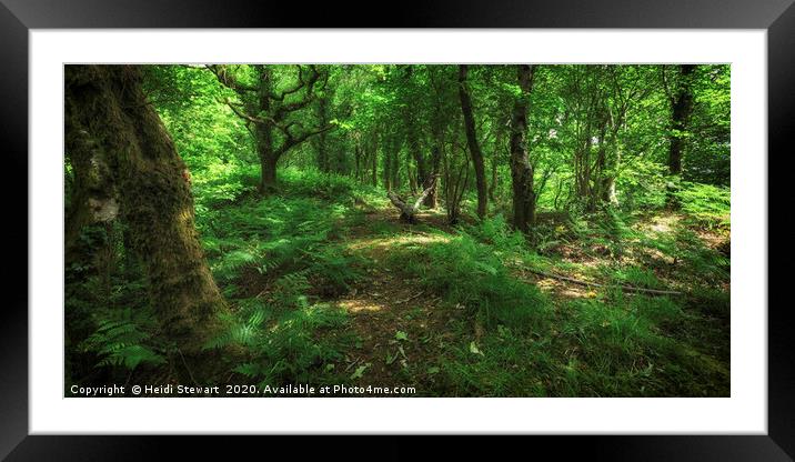 Woodland Greens Framed Mounted Print by Heidi Stewart