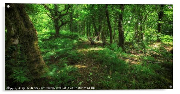 Woodland Greens Acrylic by Heidi Stewart