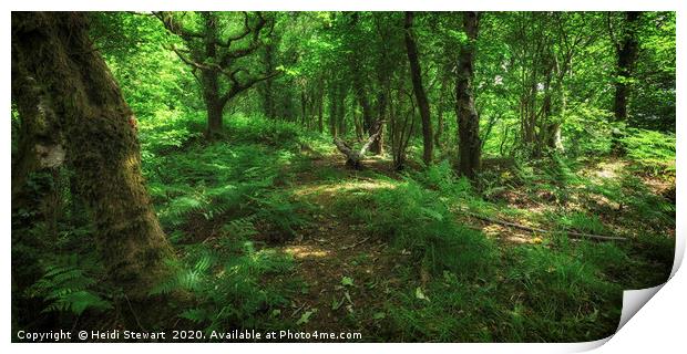 Woodland Greens Print by Heidi Stewart