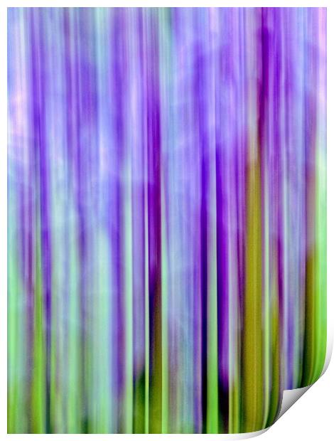 Bluebell Abstract Print by Anne Macdonald