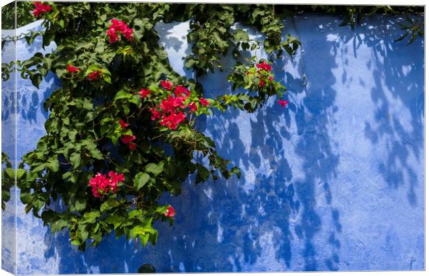 blue wall with flowers  Canvas Print by hector Christiaen