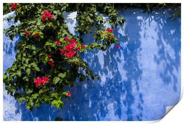 blue wall with flowers  Print by hector Christiaen