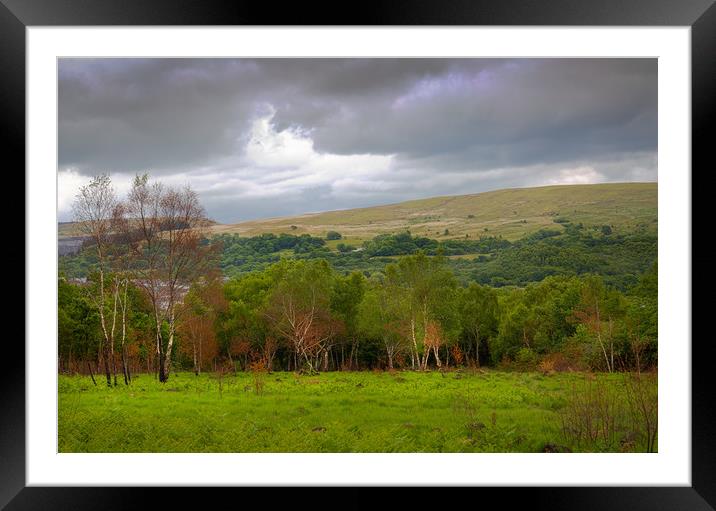 Coronation Park in Ystradgynlais Framed Mounted Print by Leighton Collins