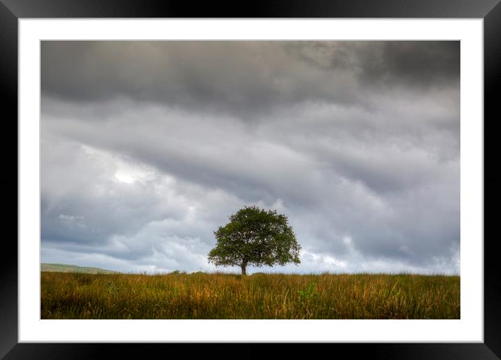 A tree and an approaching storm Framed Mounted Print by Leighton Collins