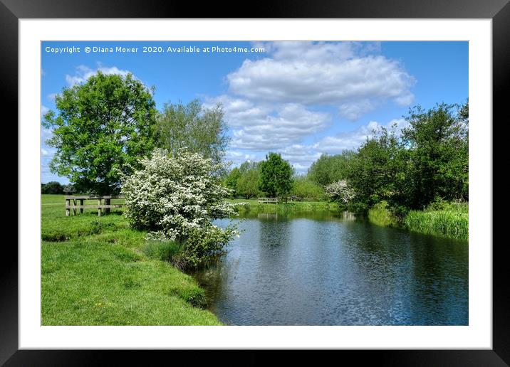  The River Stour Dedham Framed Mounted Print by Diana Mower