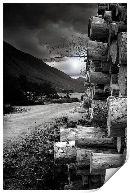 Logs at Glen Etive Print by Keith Thorburn EFIAP/b