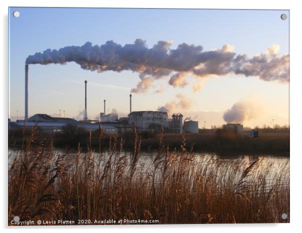 The British Sugar Factory at Sun rise, Cantley Acrylic by Lewis Platten