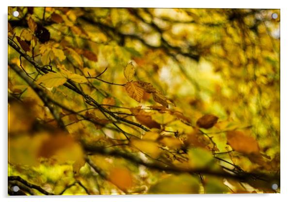 Golden Autumn Acrylic by Marc Jones