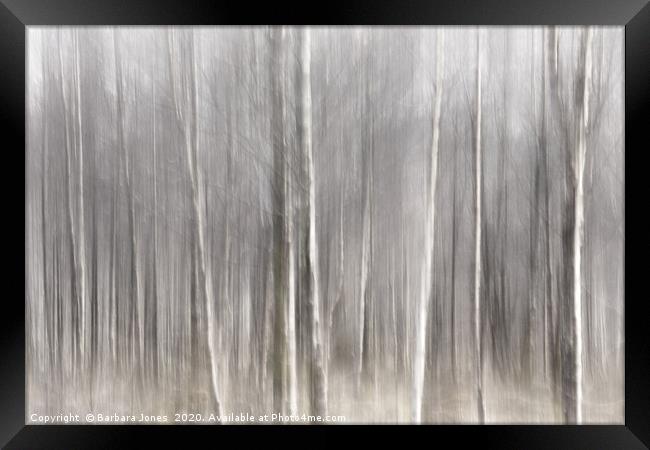 Enchanting Scottish Woodland Framed Print by Barbara Jones