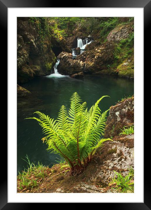 Coed Cymerau Waterfall Framed Mounted Print by Rory Trappe