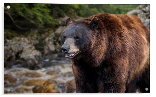 Bear on Riverbank Acrylic by Arterra 