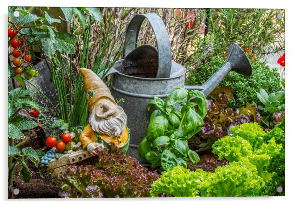Gnome in Kitchen Garden Acrylic by Arterra 