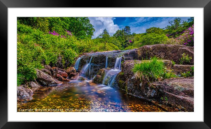 Smooth As Silk Framed Mounted Print by David Whitehead
