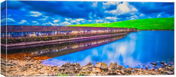 Blue Reflections Canvas Print by David Whitehead