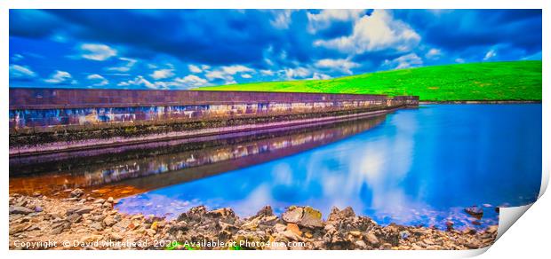 Blue Reflections Print by David Whitehead