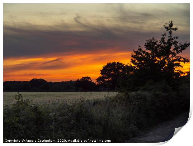 Evening Sky Print by Angela Cottingham