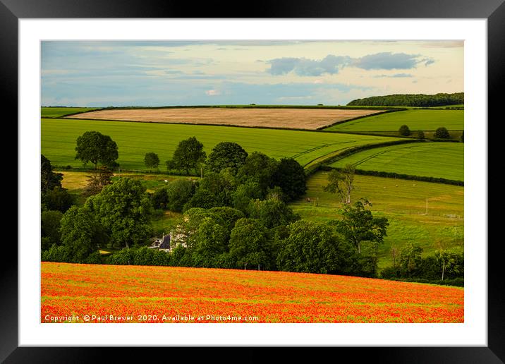 Poppies near Dorchester in June Framed Mounted Print by Paul Brewer