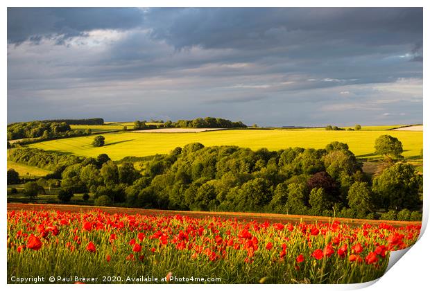 Poppies near Dorchester in June Print by Paul Brewer