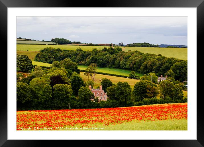 Poppies at Forston near Dorchester in June Framed Mounted Print by Paul Brewer