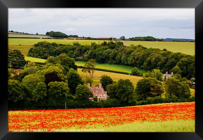 Poppies at Forston near Dorchester in June Framed Print by Paul Brewer