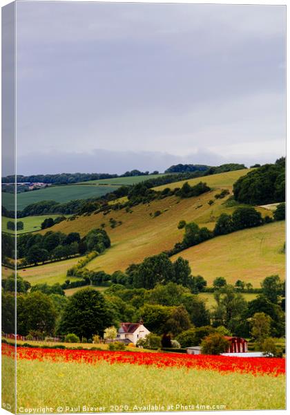 Poppies near Dorchester in June Canvas Print by Paul Brewer