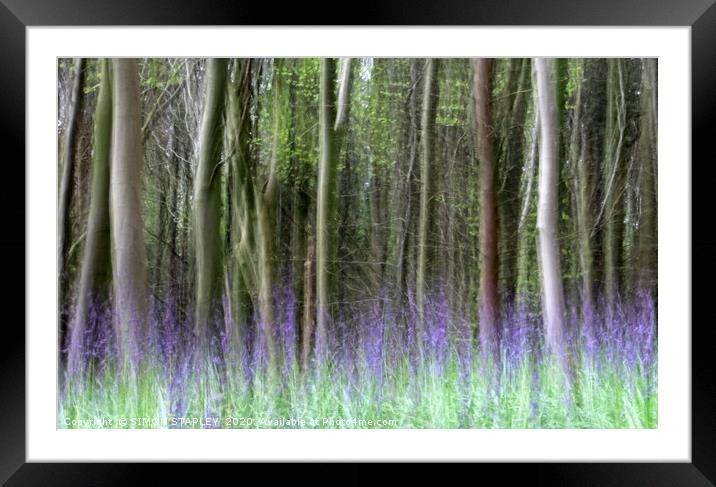 WOODLAND BLUEBELLS IN SPRING Framed Mounted Print by SIMON STAPLEY