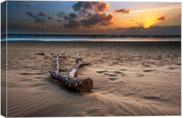 Berrow beach Driftwood...  Canvas Print by J.Tom L.Photography