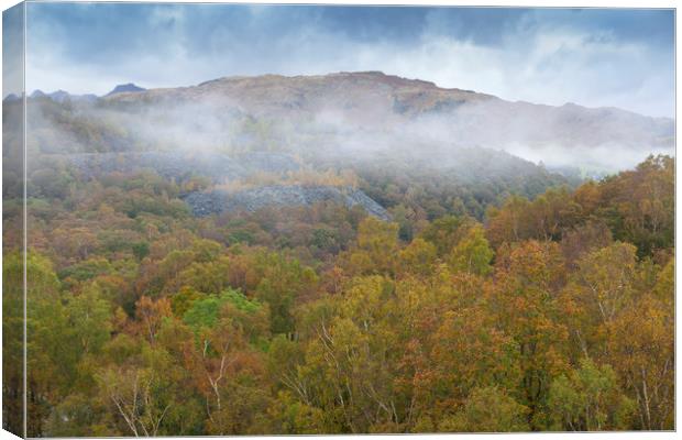 Autumnal Mists Canvas Print by David Hare