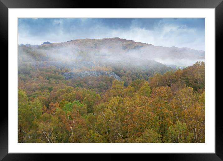 Autumnal Mists Framed Mounted Print by David Hare