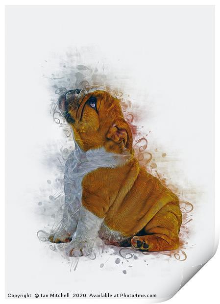 Bulldog Puppy Art Print by Ian Mitchell