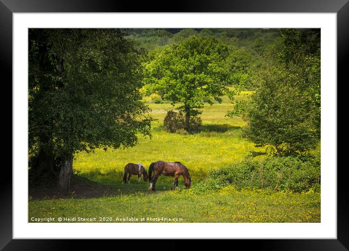 Horses in Spring Time Framed Mounted Print by Heidi Stewart