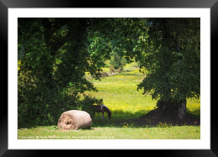 Spring Landscape Framed Mounted Print by Heidi Stewart