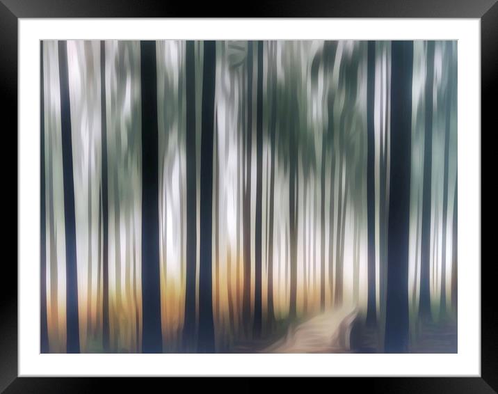 Mystical Journey through the Forest ICM Framed Mounted Print by Beryl Curran