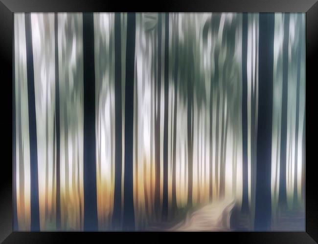 Mystical Journey through the Forest ICM Framed Print by Beryl Curran