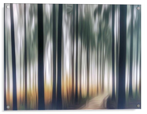 Mystical Journey through the Forest ICM Acrylic by Beryl Curran