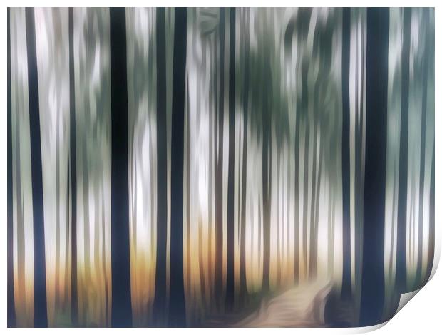 Mystical Journey through the Forest ICM Print by Beryl Curran