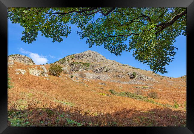 Cumbrian Hills Framed Print by David Hare