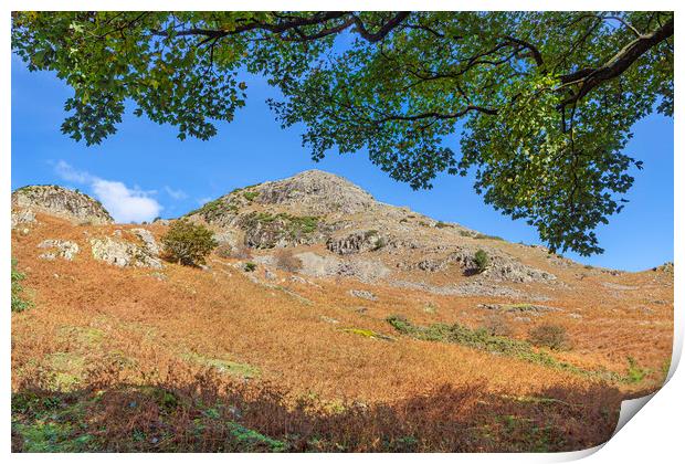 Cumbrian Hills Print by David Hare