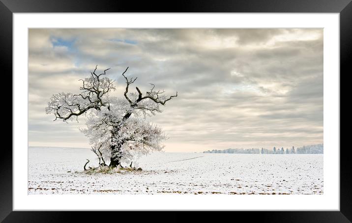 A Winters day Framed Mounted Print by Chris Drabble