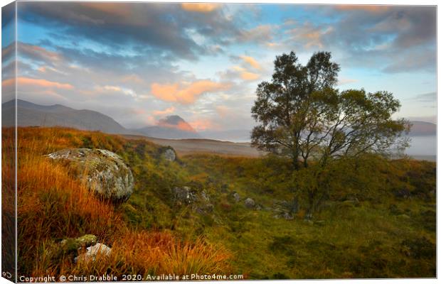 Buachaille Etive Mor in Alpenglow                  Canvas Print by Chris Drabble