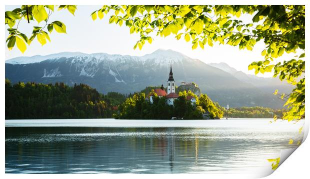 Spring colours at Lake Bled Print by Ian Middleton