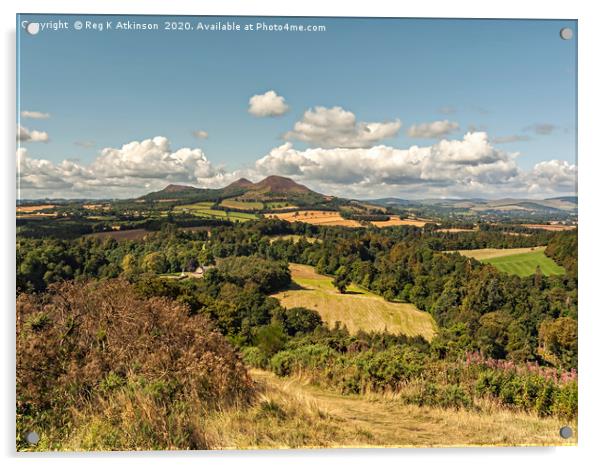 Scotts View to Eildon Hills Acrylic by Reg K Atkinson