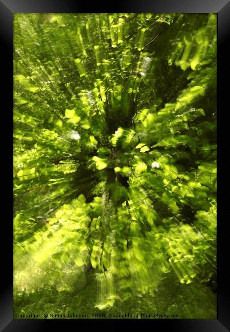 Summer leaf explosiion, creative image Framed Print by Simon Johnson