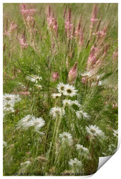 Meadow flowers and grass, Print by Simon Johnson
