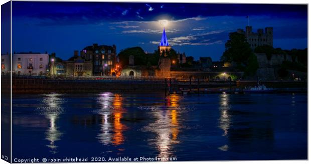 Strawberry Moon 1 of 2 Canvas Print by robin whitehead