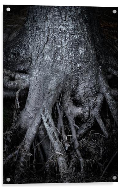 Tree Roots Acrylic by Svetlana Sewell